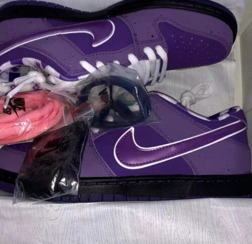 Concepts x Dunk Low SB 'Purple Lobster' photo review